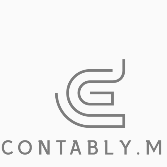 Plan Avanzado Contably anual personas físicas